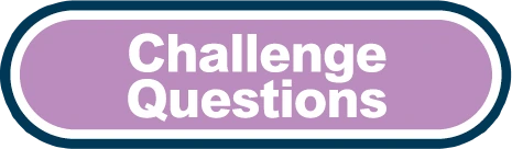 Challenge Questions