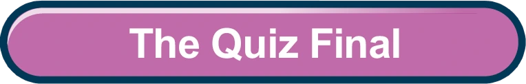 The Quiz Final