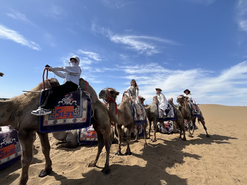 心繫家國系列:揭開新疆神秘面紗文化考察之旅2024